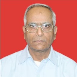 Hari S. Potdar
