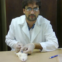 Vinicius Flavio Milanez