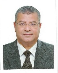 Ahmed M M Farghaly
