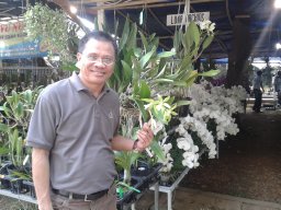 Baharuddin Baharuddin