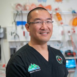 Viet Tran