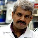 Vivek Tanavde