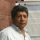 Yvan Campos
