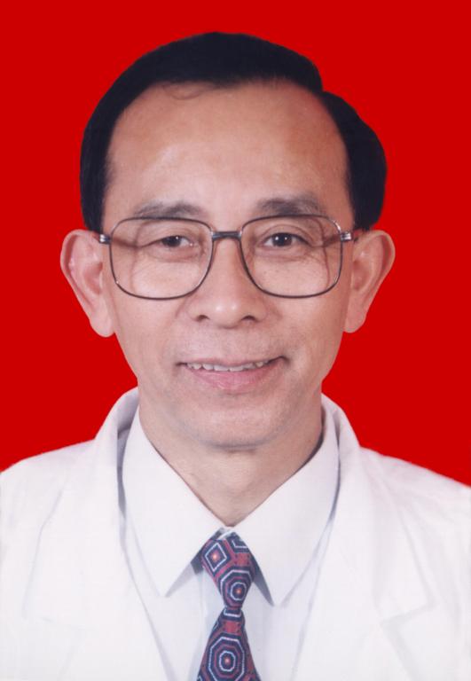 Dengqing Li