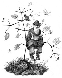 Charles W. Linkem