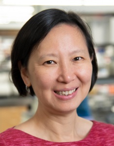 Xunrong Luo