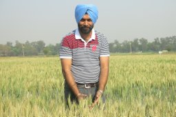 Balwinder-Singh