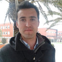 Sergio M. F. Vilela