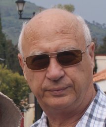 V. M. Levin