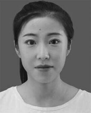 Haidan Li