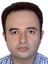 Mirjalili S Ali