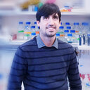 Muhammad Salim Hakeemi