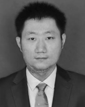 Zaiqin Zhang