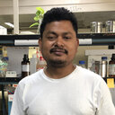 Ashish Sarkar