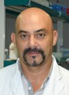 Antonio Rodríguez-Bertos
