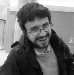 Luca Fedeli