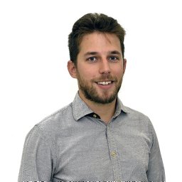 Simone Anelli