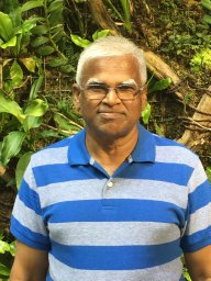 Ayyadurai K