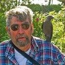 Roger Thunvik