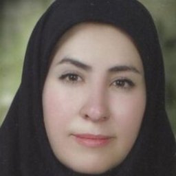 Rezvan Mirzaei
