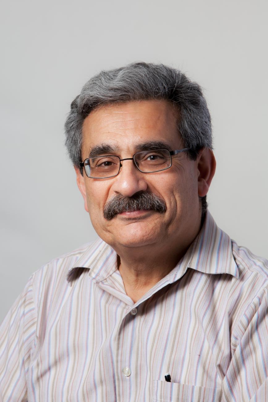 Fevzi Daldal