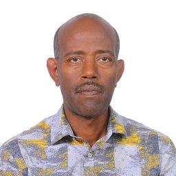 Fantu Nisrane Bachewe