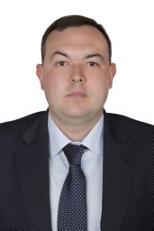 Д.Е. Морковкин