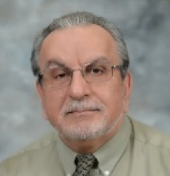 Kenneth Laali