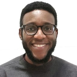 Opeyemi U. Lawal