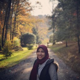 Sahar S. H. Rostom