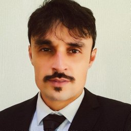 Naaman Francisco Nogueira Silva