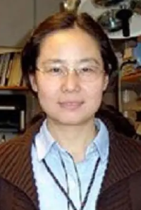 Huiling Zhang
