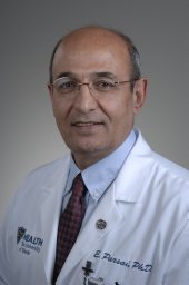 E Parsai