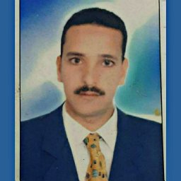 Waleed M. Dosoky