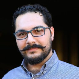 Mirzaei Hamed
