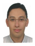 Mohamed A. Omar