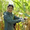 Bingjie Sun