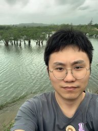 Liwei Tan