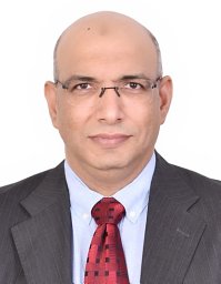 Mohamed H. El-Newehy