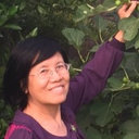Jingjie Zhang