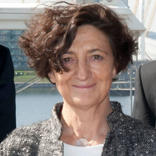 Dominique Salmon-Ceron