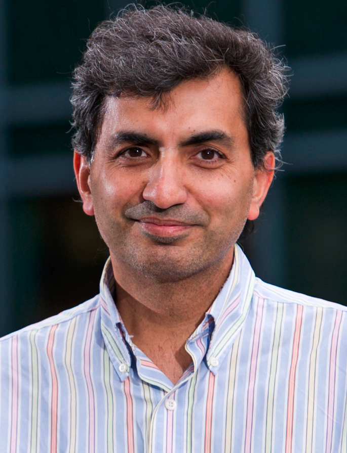 Hossein Mosallaei