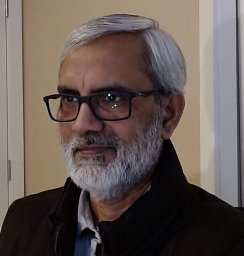 Hamid A. Naeem