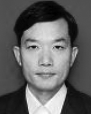 Li Weiwei