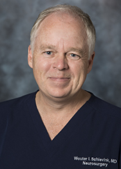 Wouter I. Schievink