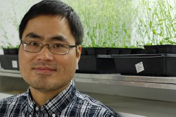 Zhihua Hua