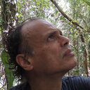 Pedro Acevedo