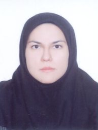 Zahra Mehdizadeh Tourzani