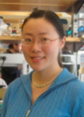 Shanshan Duan