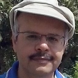 Seyed Reza Fani